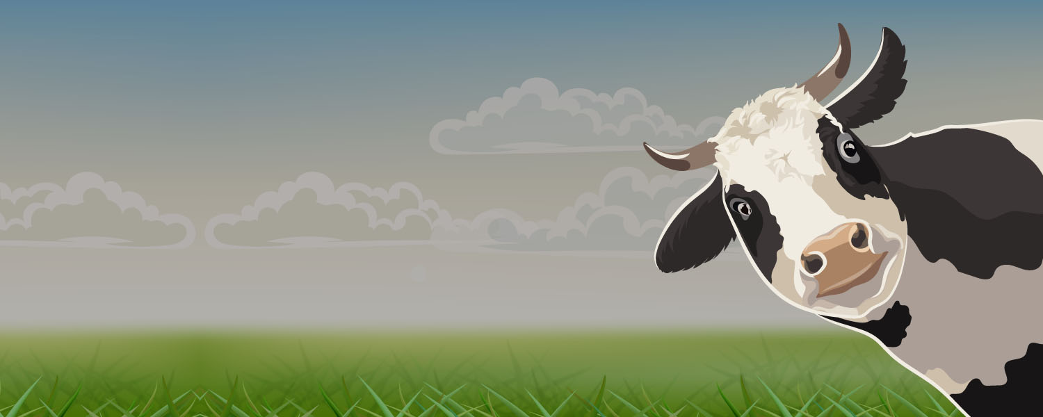 Top Manufacturer Of Quality Dairy Processing Machine